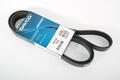 Alfa Romeo 145 Auxiliary Belt. Part Number 50534146