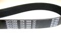 Alfa Romeo 145 Auxiliary Belt. Part Number 71753878